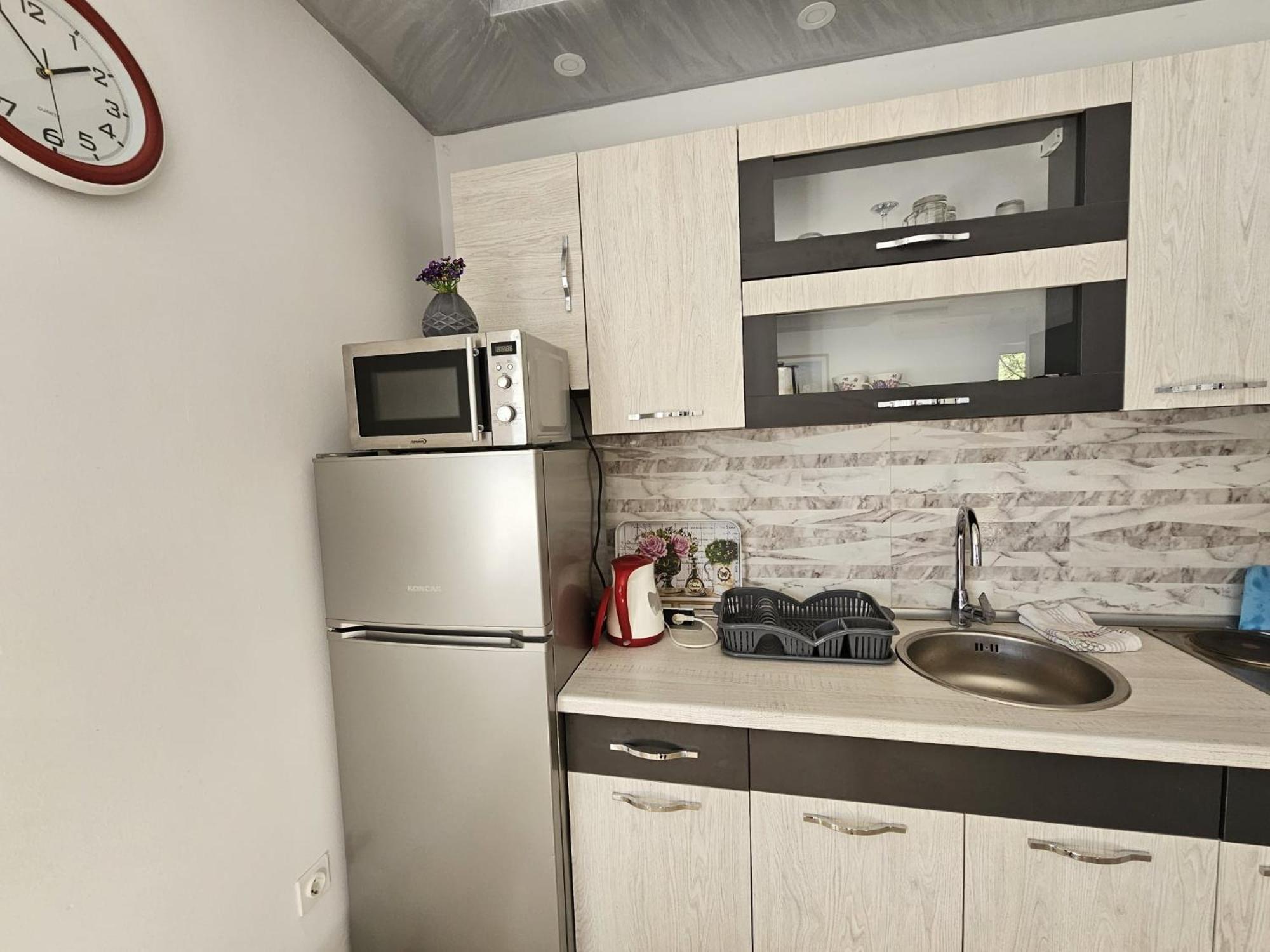 Apartment Vesna *